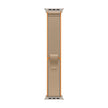 Apple Watch Ultra 4 Cellular 49mm - Natural Titanium / Sand Trail Loop - M/L