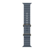 49mm Anchor Blue Ocean Band - Natural Titanium Finish
