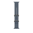49mm Anchor Blue Ocean Band Extension - Natural Titanium Finish