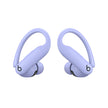 Beats Powerbeats Pro 2 - High-Performance Earbuds - Hyper Purple