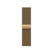 40mm Radiant Gold Milanese Loop