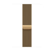 46mm Radiant Gold Milanese Loop - M/L
